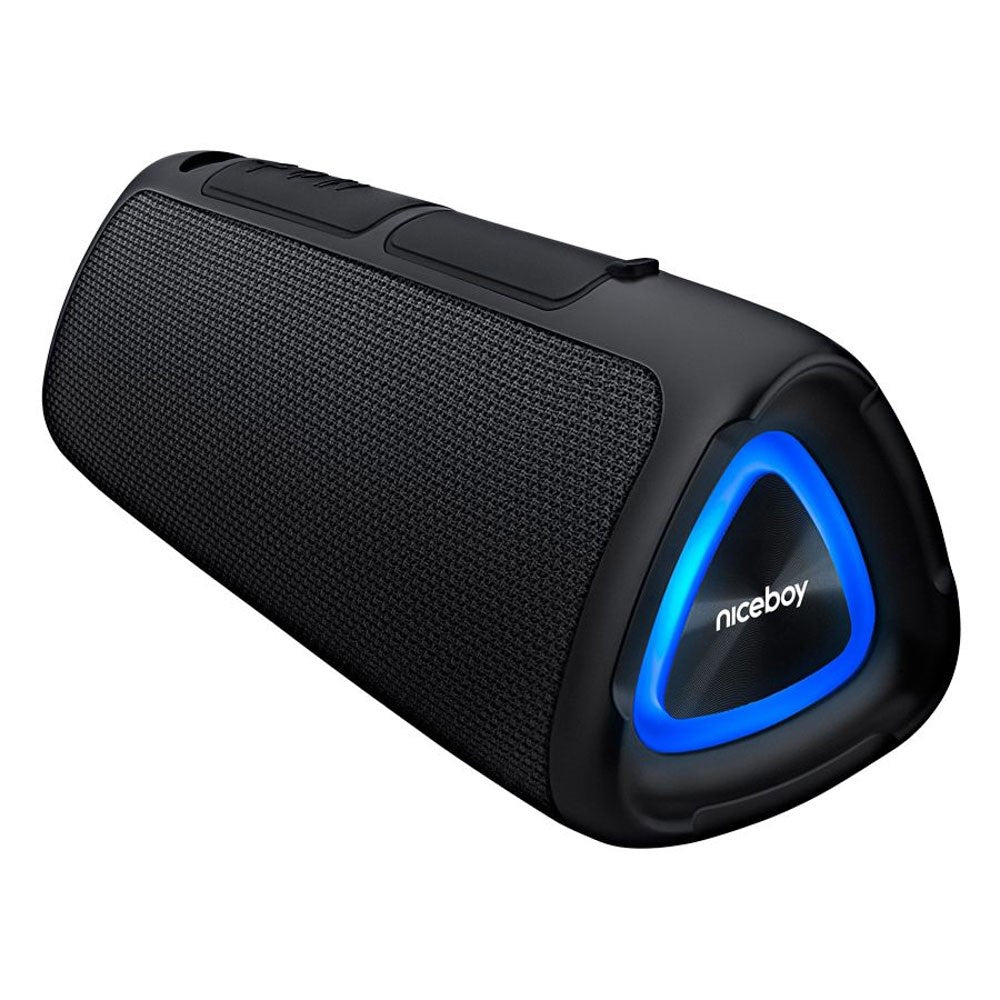 Niceboy RAZE Fusion 10W Bluetooth Speaker with FM Radio - Black