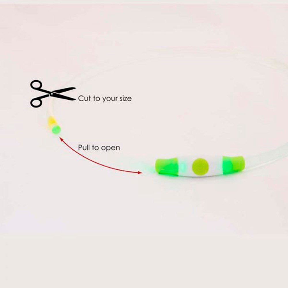 Bee-Safe LED Dog Collar - Green