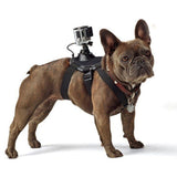 GoPro 1 - 4 Dog Harness with Mount - Black