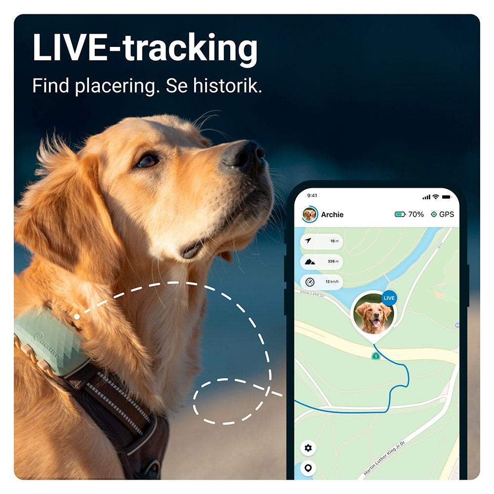 Tractive GPS Dog XL - GPS & Bluetooth Tracker for Dogs - Green