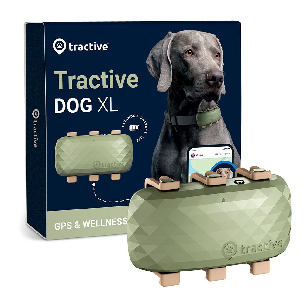 Tractive GPS Dog XL - GPS & Bluetooth Tracker for Dogs - Green