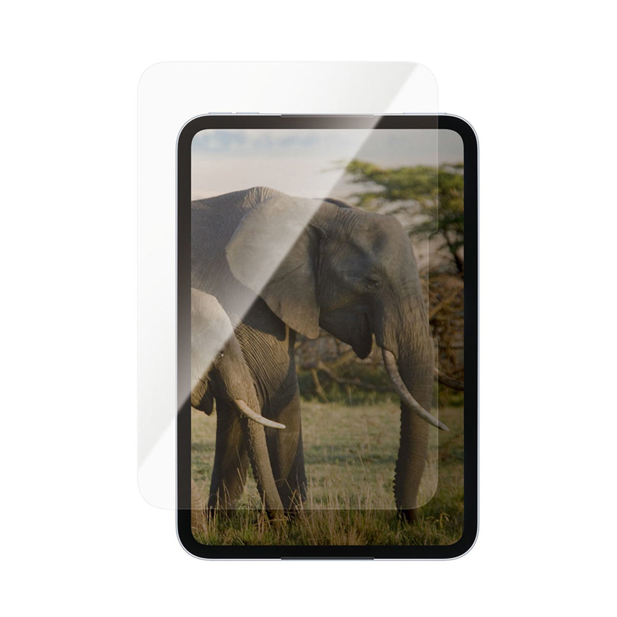 iPad Mini (2026) 8th Gen. PanzerGlass Ultra-Wide Fit Screen Protector Glass - Transparent