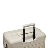 Trunk Travel Suitcase 20" - Ashes of Roses